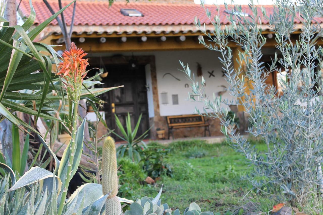Casa Rural La Coscoja Mérida Exterior photo