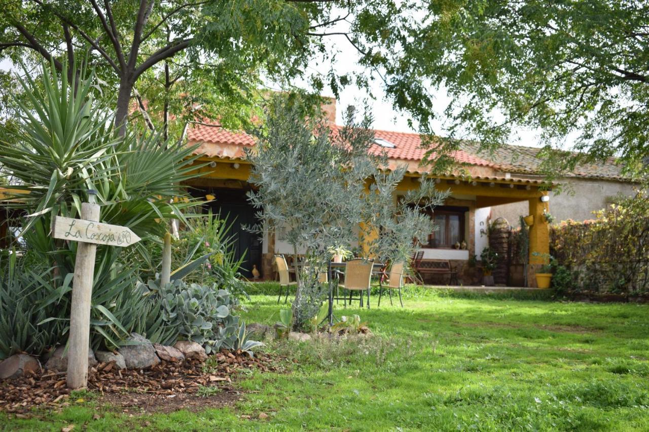 Casa Rural La Coscoja Mérida Exterior photo